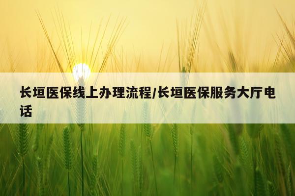 长垣医保线上办理流程/长垣医保服务大厅电话