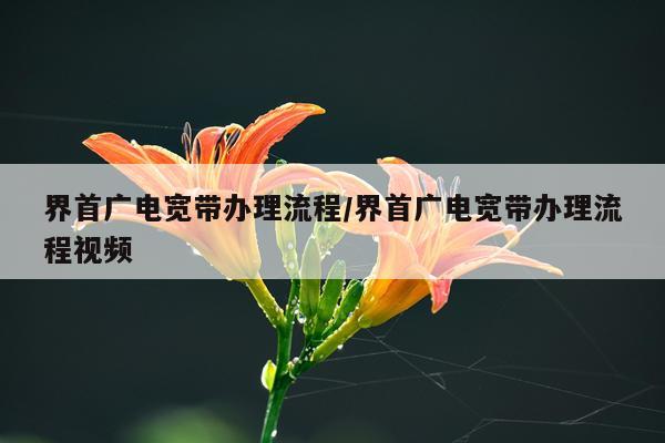 界首广电宽带办理流程/界首广电宽带办理流程视频