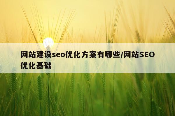 网站建设seo优化方案有哪些/网站SEO优化基础