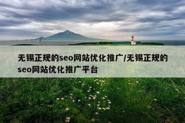 无锡正规的seo网站优化推广/无锡正规的seo网站优化推广平台