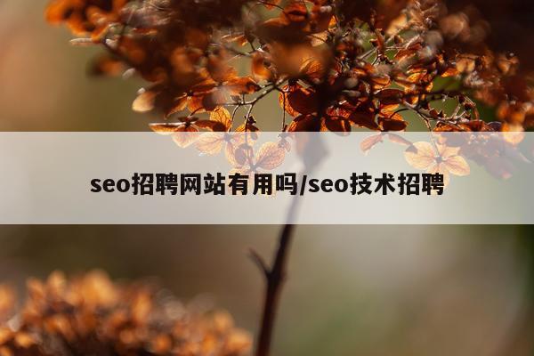 seo招聘网站有用吗/seo技术招聘