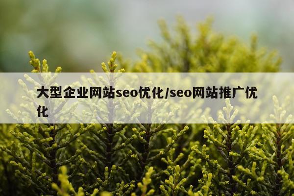 大型企业网站seo优化/seo网站推广优化