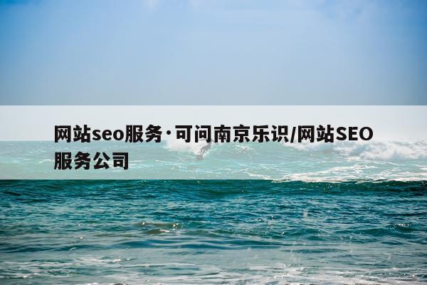 网站seo服务·可问南京乐识/网站SEO服务公司