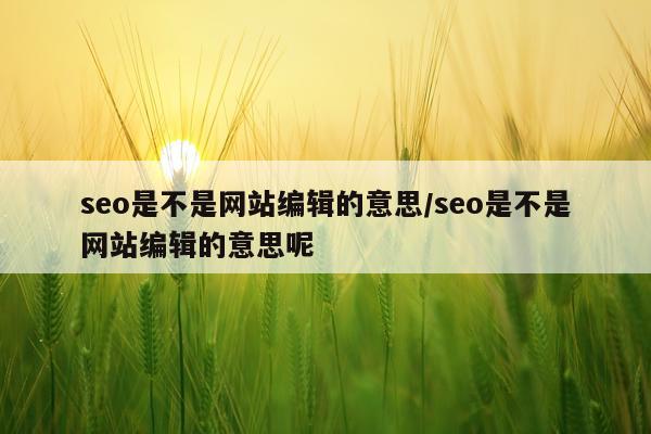 seo是不是网站编辑的意思/seo是不是网站编辑的意思呢