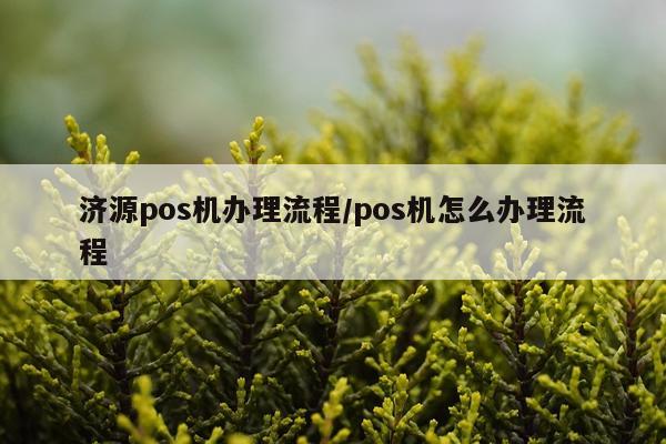 济源pos机办理流程/pos机怎么办理流程