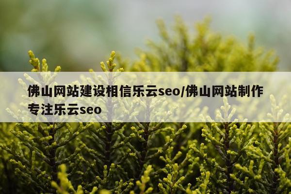 佛山网站建设相信乐云seo/佛山网站制作专注乐云seo