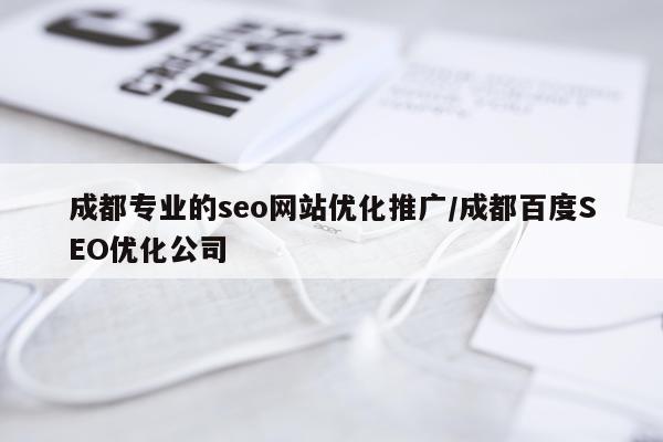 成都专业的seo网站优化推广/成都百度SEO优化公司