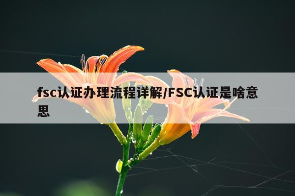 fsc认证办理流程详解/FSC认证是啥意思