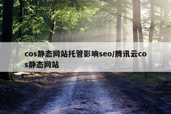 cos静态网站托管影响seo/腾讯云cos静态网站