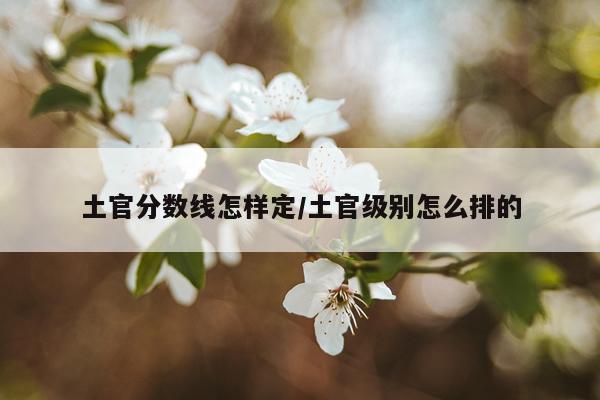 土官分数线怎样定/土官级别怎么排的