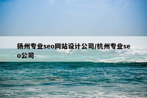 扬州专业seo网站设计公司/杭州专业seo公司