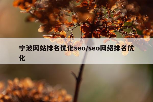 宁波网站排名优化seo/seo网络排名优化