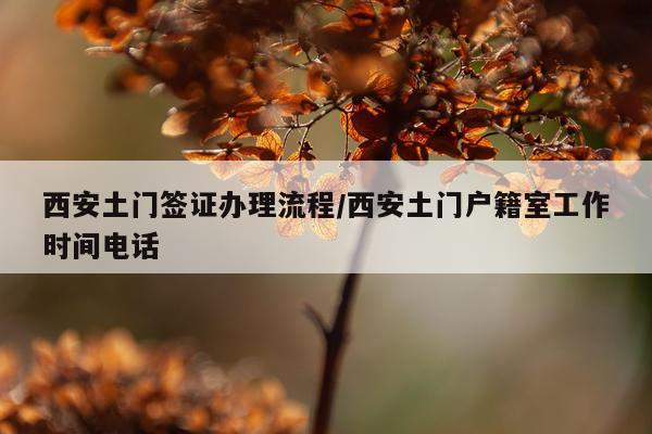 西安土门签证办理流程/西安土门户籍室工作时间电话