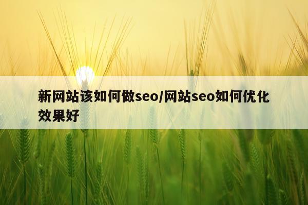 新网站该如何做seo/网站seo如何优化效果好