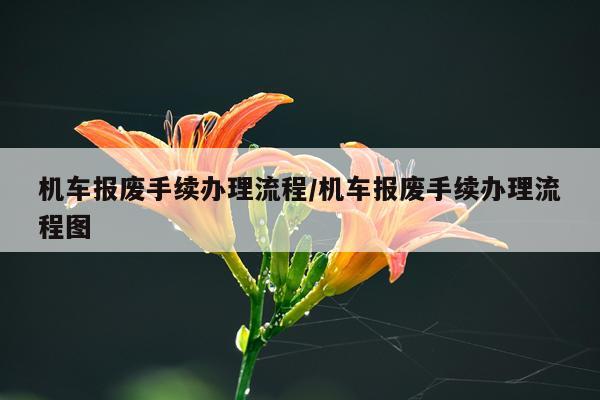 机车报废手续办理流程/机车报废手续办理流程图
