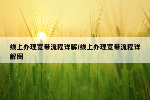 线上办理宽带流程详解/线上办理宽带流程详解图