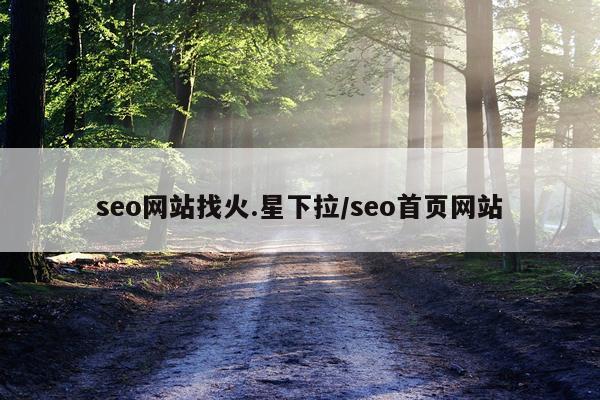 seo网站找火.星下拉/seo首页网站