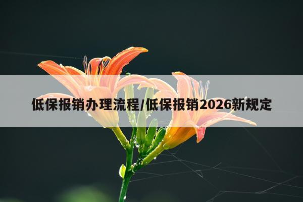 低保报销办理流程/低保报销2026新规定
