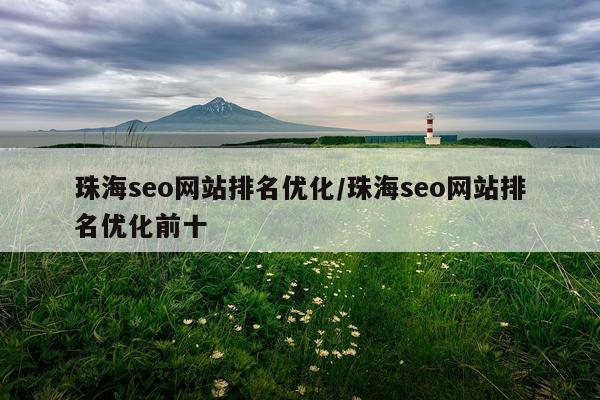 珠海seo网站排名优化/珠海seo网站排名优化前十