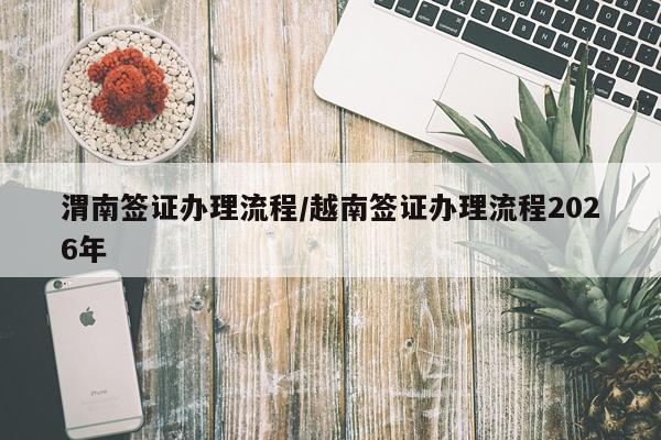 渭南签证办理流程/越南签证办理流程2026年