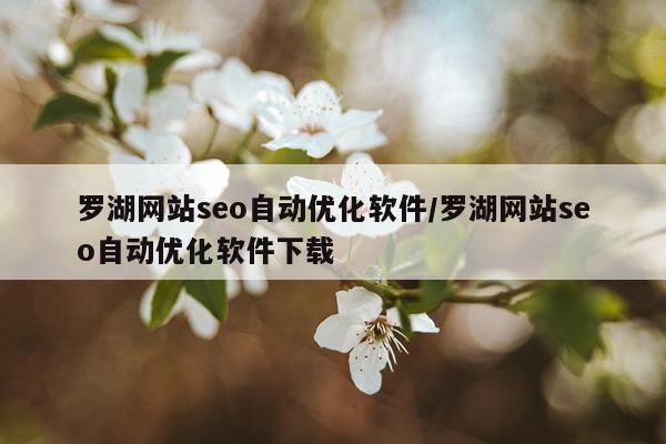 罗湖网站seo自动优化软件/罗湖网站seo自动优化软件下载