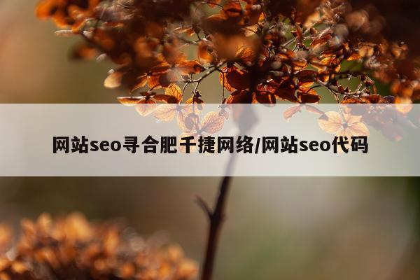 网站seo寻合肥千捷网络/网站seo代码