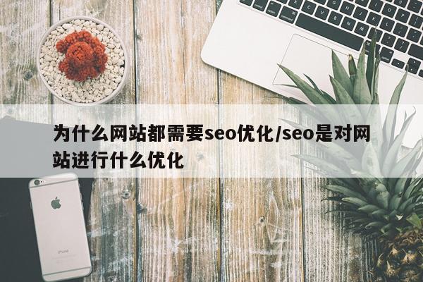 为什么网站都需要seo优化/seo是对网站进行什么优化