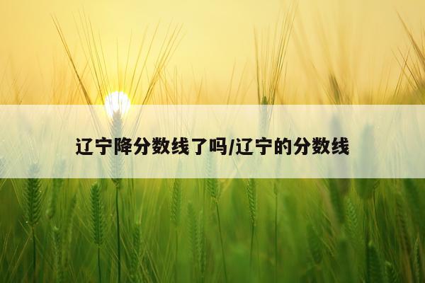 辽宁降分数线了吗/辽宁的分数线