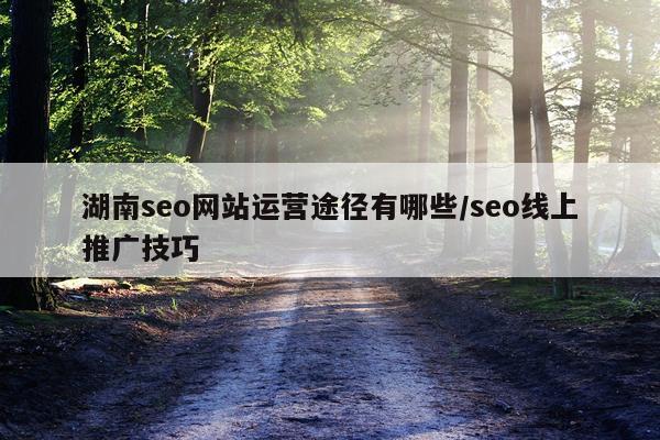 湖南seo网站运营途径有哪些/seo线上推广技巧