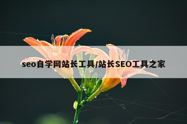 seo自学网站长工具/站长SEO工具之家