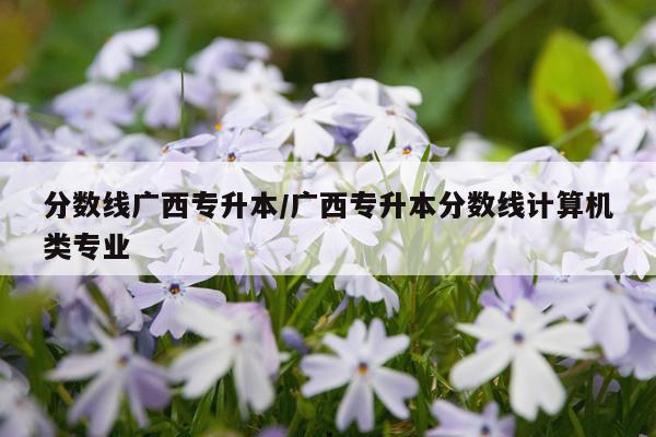 分数线广西专升本/广西专升本分数线计算机类专业