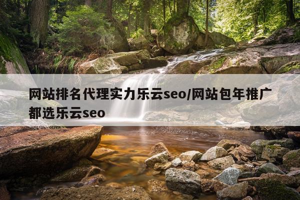 网站排名代理实力乐云seo/网站包年推广都选乐云seo