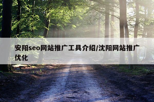 安阳seo网站推广工具介绍/沈阳网站推广优化
