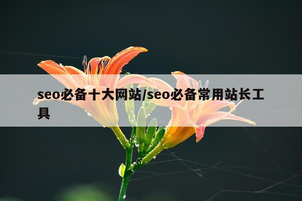 seo必备十大网站/seo必备常用站长工具