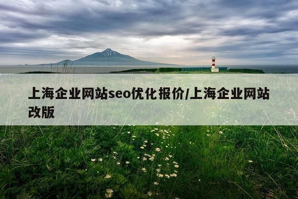 上海企业网站seo优化报价/上海企业网站改版