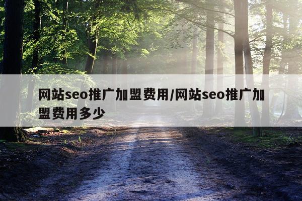 网站seo推广加盟费用/网站seo推广加盟费用多少