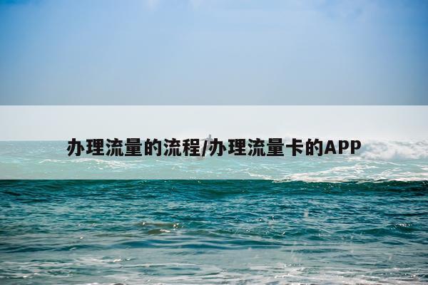 办理流量的流程/办理流量卡的APP