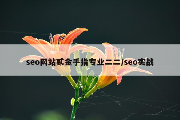 seo网站贰金手指专业二二/seo实战