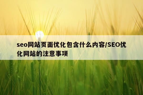 seo网站页面优化包含什么内容/SEO优化网站的注意事项
