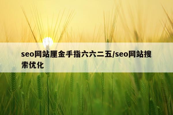 seo网站厘金手指六六二五/seo网站搜索优化