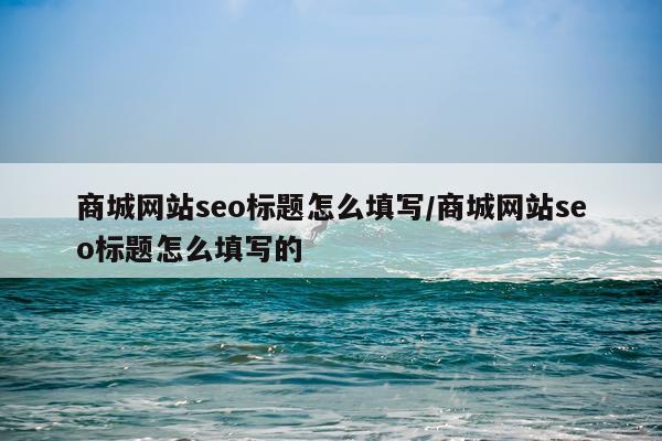 商城网站seo标题怎么填写/商城网站seo标题怎么填写的