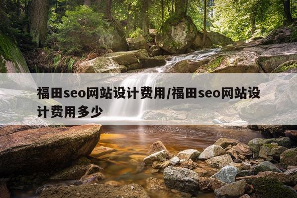 福田seo网站设计费用/福田seo网站设计费用多少