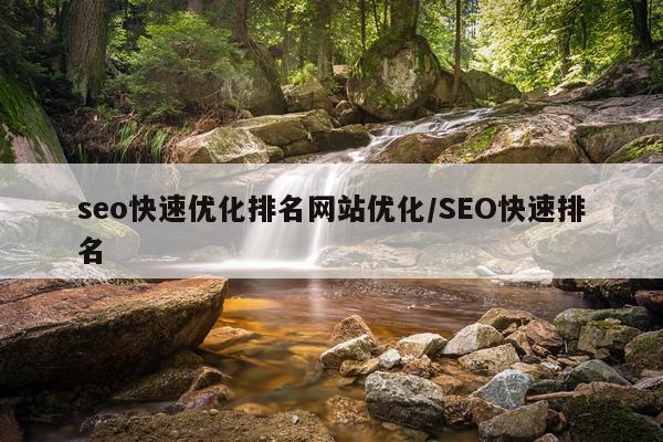 seo快速优化排名网站优化/SEO快速排名