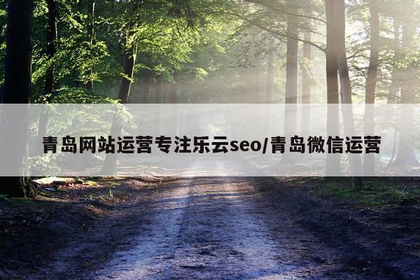 青岛网站运营专注乐云seo/青岛微信运营