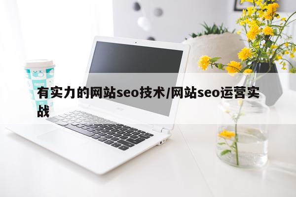 有实力的网站seo技术/网站seo运营实战