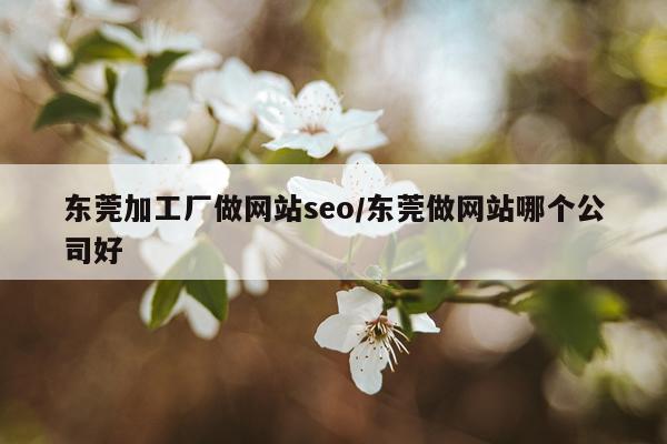 东莞加工厂做网站seo/东莞做网站哪个公司好