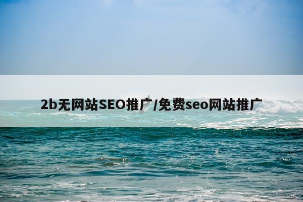 2b无网站SEO推广/免费seo网站推广