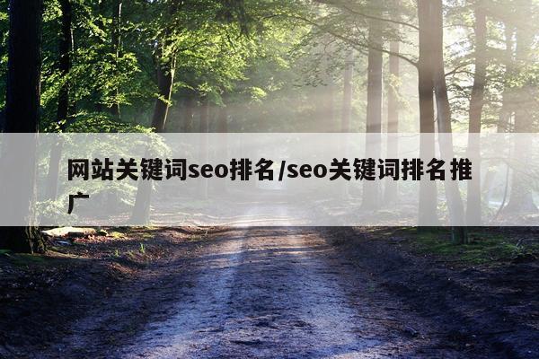 网站关键词seo排名/seo关键词排名推广