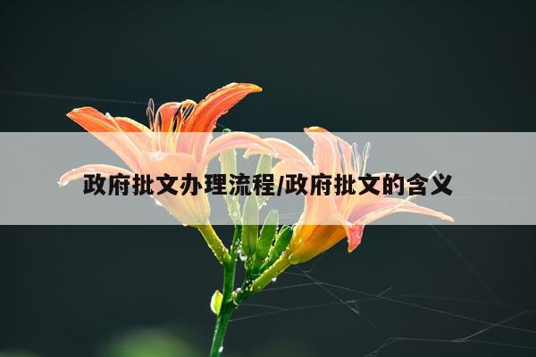 政府批文办理流程/政府批文的含义