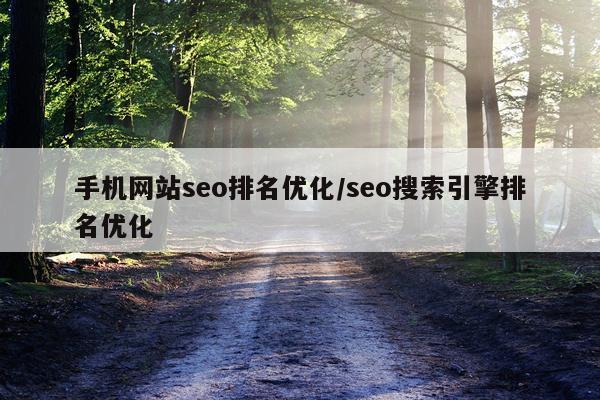 手机网站seo排名优化/seo搜索引擎排名优化